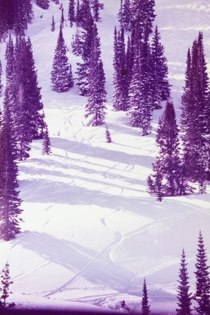 Alta residency (28 of 31)